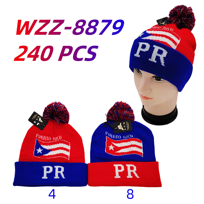 WZZ-8879 CS240